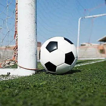 用户李女士评价